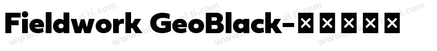 Fieldwork GeoBlack字体转换